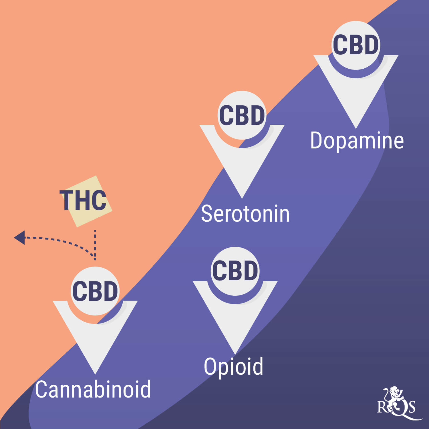 How Cannabis Interacts With Antidepressants RQS Blog